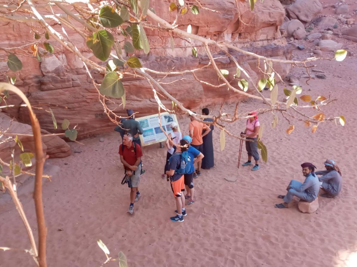 Bedouin Future Camp Hotel Wadi Rum Exterior photo