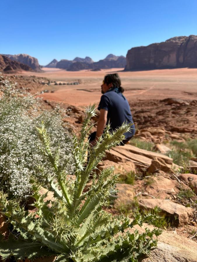 Bedouin Future Camp Hotel Wadi Rum Exterior photo