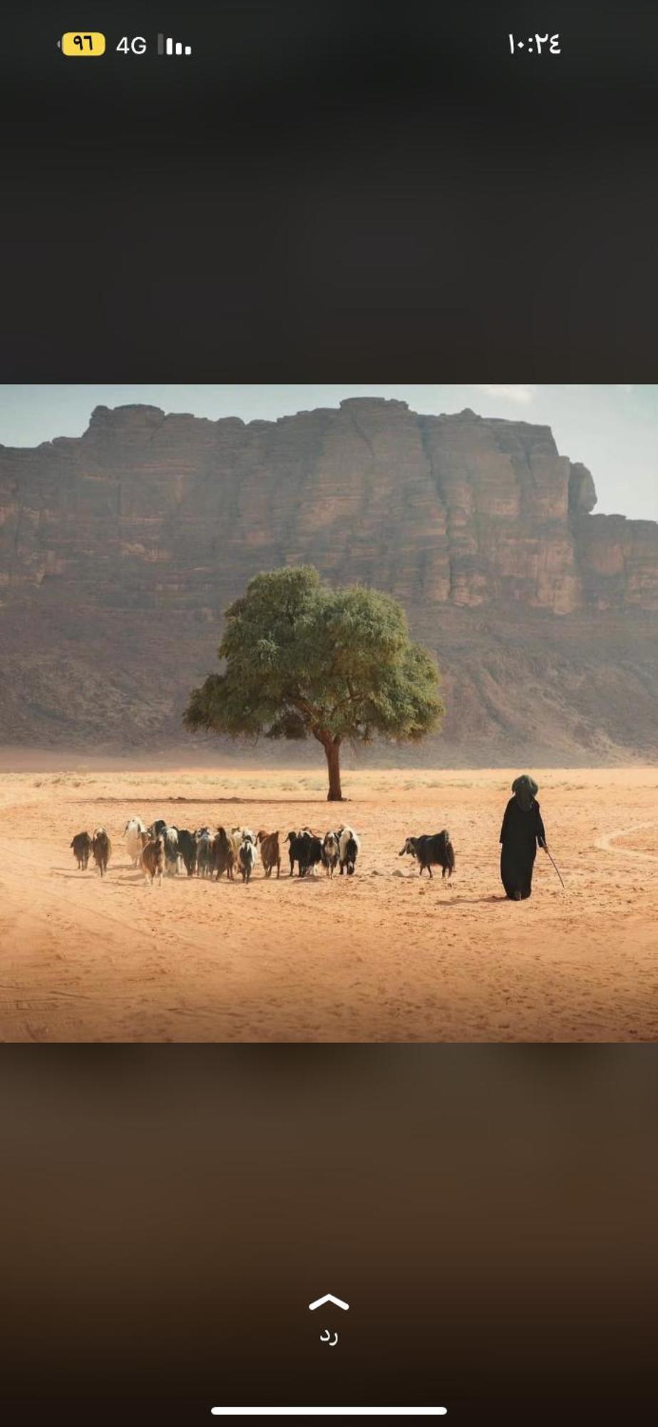 Bedouin Future Camp Hotel Wadi Rum Exterior photo