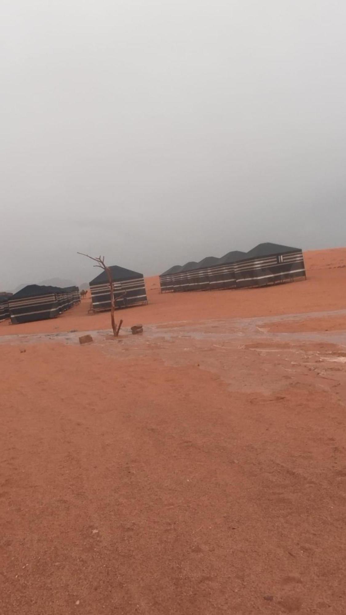 Bedouin Future Camp Hotel Wadi Rum Exterior photo