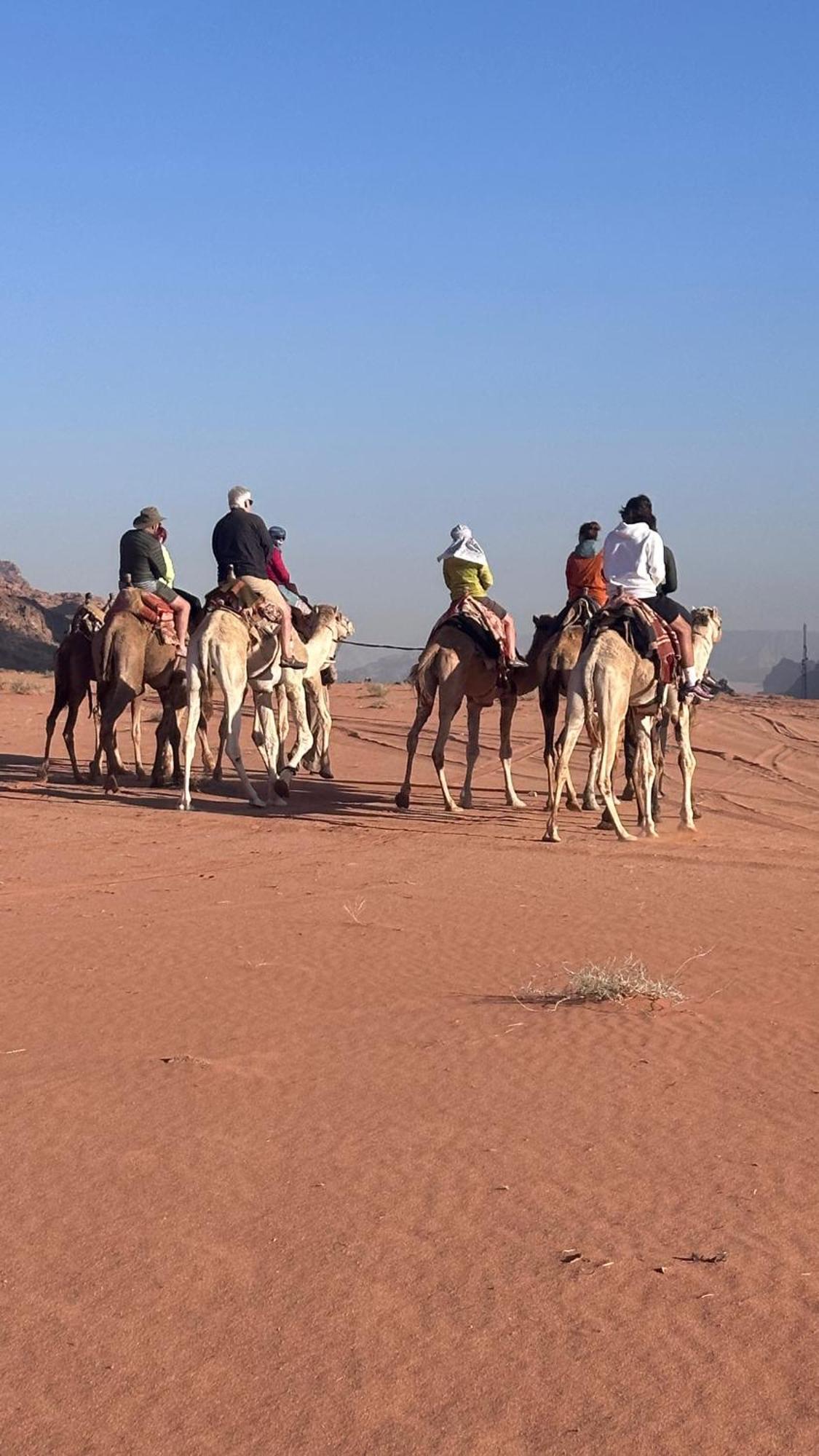 Bedouin Future Camp Hotel Wadi Rum Exterior photo